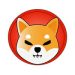 Crypto community sets bullish SHIB price for June 2022