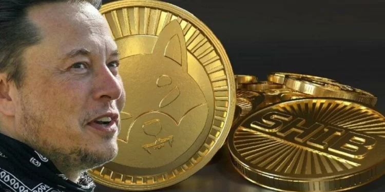 Elon Musk says he will keep supporting Dogecoin amid $258 billion lawsuit