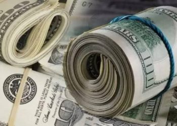 Exchange Rate Crises: How the Naira Fell from Grace to Grass