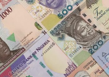 Nigeria’s Currency Loses 85 Naira to the Dollar Between January and July 2022 at the Parallel Market 