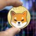 Shiba Inu, Dogecoin Jump as Risk-On Behavior Returns to Crypto Markets