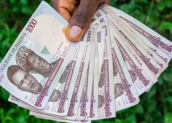 Naira Bounces Back to N625/$ at the Parallel Market
