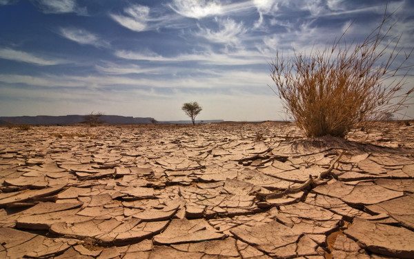 Africa loses up to 15% of its GDP per capital to climate change – African Development Bank