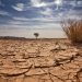 Africa loses up to 15% of its GDP per capital to climate change – African Development Bank
