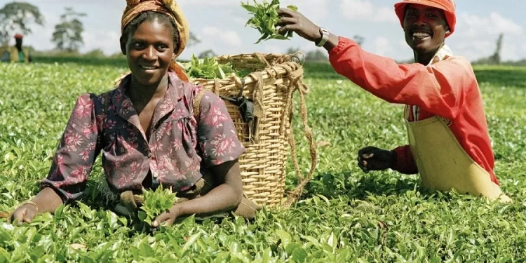 CBN plans to use GSI in recovering loans from defaulters on the Anchor Borrowers’ Program