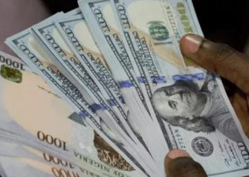 The Naira maintains its rate against the USD at N742/$1 in the parallel market.