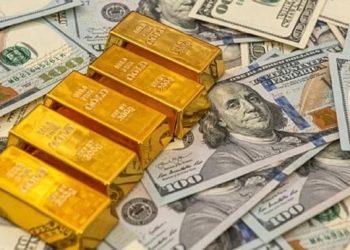 Outlook of Nigeria’s Foreign Reserve for the First Month of 2023