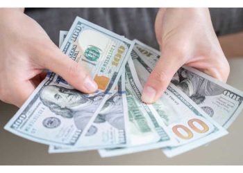 Naira depreciates to N752/$ in the parallel market.