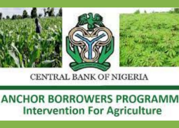 IMF – only 24% of CBN Anchor borrowers’ loans recovered.