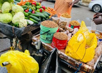 Nigeria to develop Food System Transformation pathway- Official