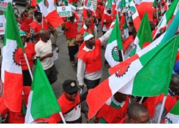 Nigeria sets eight-week timeline to agree minimum wage with unions