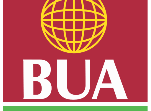 BUA Foods Plc Appoints Mrs. Yemisi Lowo-Adesola as Independent Non-Executive Director.