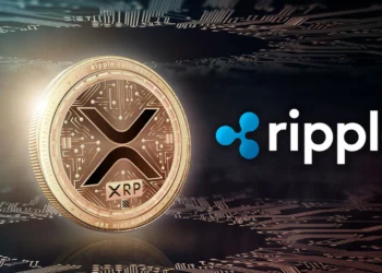 Ripple CTO Attributes Delay in IPO to Regulatory Hurdles in the U.S.