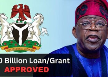How to Apply for Federal Government’s Nano Business Grant and Loan 2023