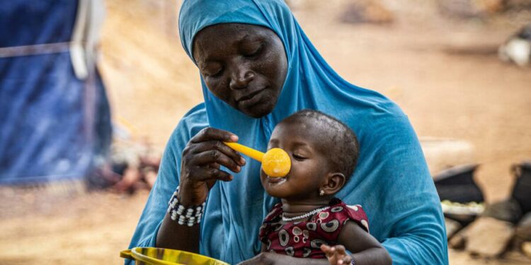 Food Insecurity Worsens in Nigeria Amidst Funding Challenges in Rural Agriculture