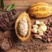Global Cocoa Prices Surge to Record Highs Amid Crop Damage in West Africa