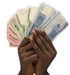 Naira Dilemma :Analyzing CBN’s Strategies to Revive the Naira Value