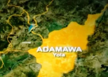 Today’s Make Nigeria Better Series Highlights Adamawa State’s Untapped Potential  By Ayo Akinfe