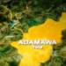 Today’s Make Nigeria Better Series Highlights Adamawa State’s Untapped Potential  By Ayo Akinfe