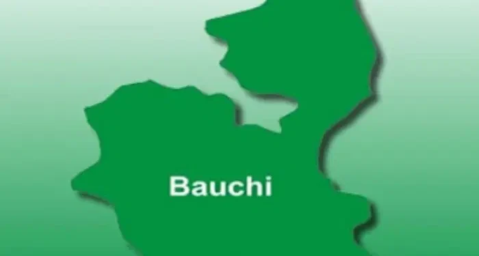 Make Nigeria Better Series By Ayo Akinfe. Today Focus: Bauchi State
