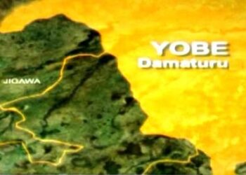 Make Nigeria Better By Ayo Akinfe. Today’s Focus: Yobe State